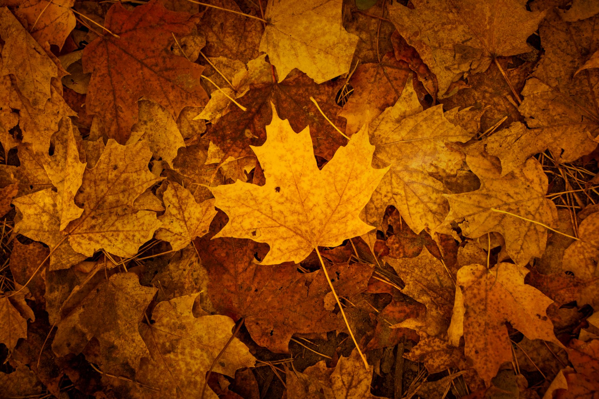 2020 10 11 11 24 16 copy